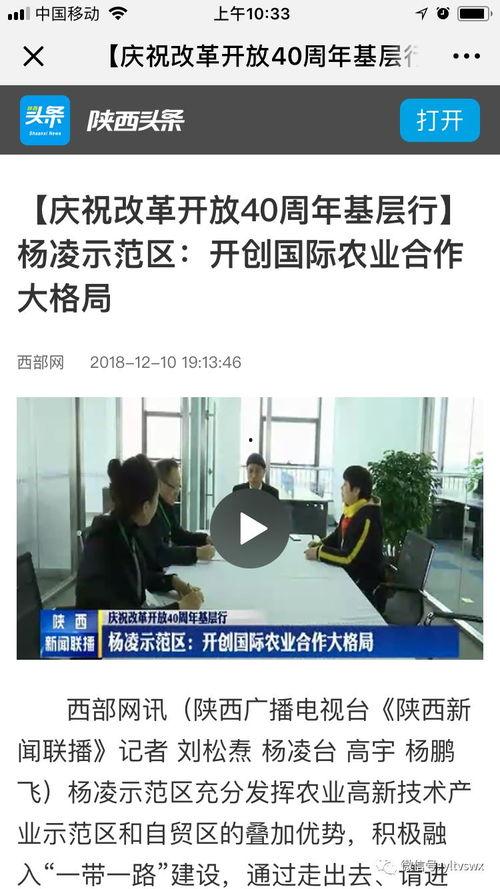 杨凌今日头条卖乳瓜,新鲜乳瓜热销，绿色农产品引领健康生活新风尚