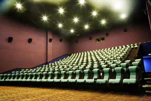 瓜州今日电影院,光影交织，尽享视听盛宴