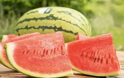 今日沙漠瓜价格,今日行情一览