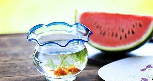 暗吃瓜网今日吃瓜,揭秘今日热门吃瓜事件，带你领略娱乐圈风云变幻