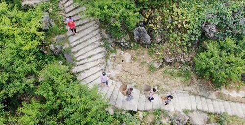 明星网红贵州村6号,网红明星的乡村田园生活新体验