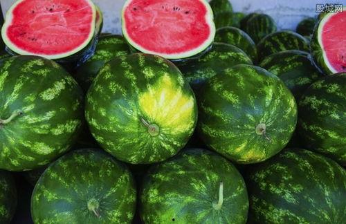 今日四川瓜价多少钱一斤,一斤多少钱？