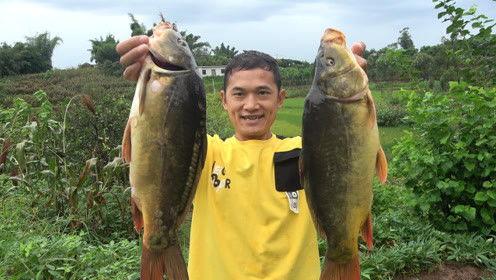 今日头条刘大瓜,揭秘娱乐圈最新热点事件