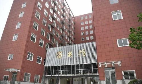 周口小吊瓜今日行情价格,价格波动解析与市场动态一览”