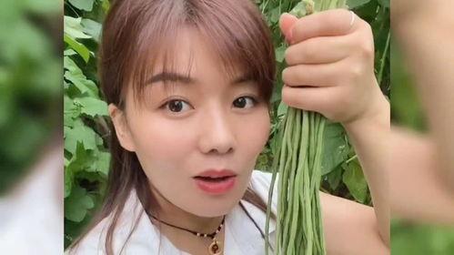 山东菏泽明星网红是谁,闪耀菏泽的璀璨之星