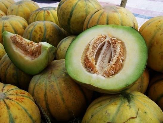 老汉瓜今日价格表,今日行情一览