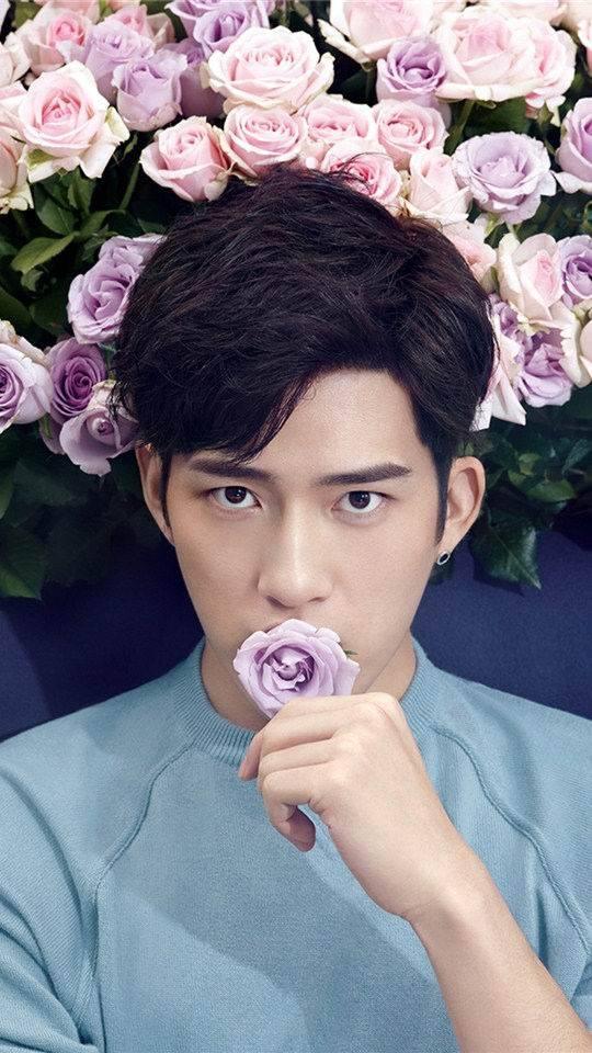 大明星网红奶奶简介,大明星的温馨日常与人生智慧