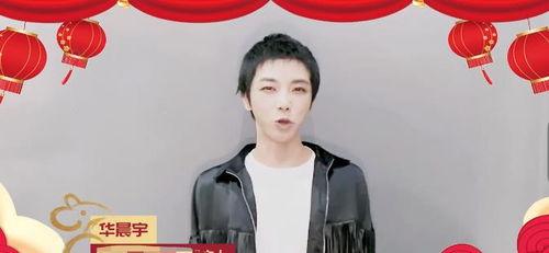 明星网红拜年视频大全集,新春拜年视频大全集精彩回顾