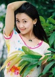 明星网红怎么都在广东了,揭秘明星网红齐聚广东的奥秘