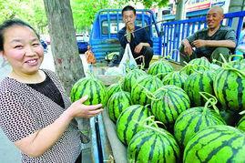 海南今日瓜价最新消息,今日瓜价行情一览