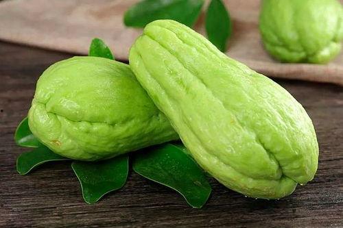 广东姜柄瓜今日价格,市场行情一览”