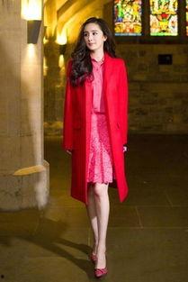 明星网红紫色大衣是谁,揭秘时尚潮流的引领者