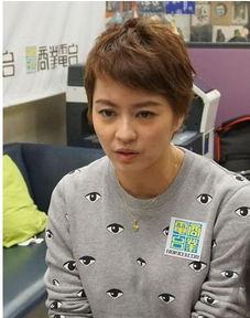 明星网红的学历高吗,高学历成为新趋势？