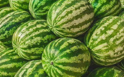 今日吃瓜每天必看大瓜,揭秘今日吃瓜大瓜，热点事件一网打尽