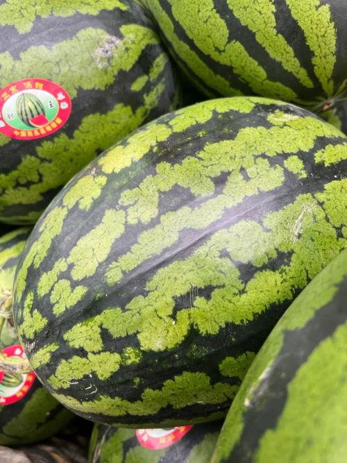 今日吃瓜每天必看大瓜,揭秘今日吃瓜大瓜，热点事件一网打尽