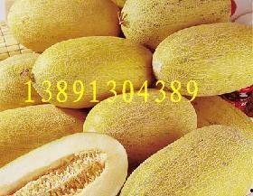 湖州哈密瓜今日价格行情,价格行情一览”