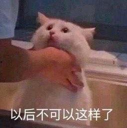 朝阳群众吃瓜今日吃瓜,揭秘京城街头新鲜事