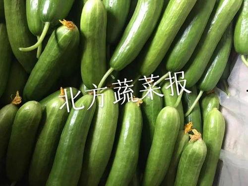 茄瓜价格今日行情最新,茄瓜价格波动解析