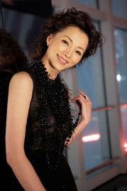 明星网红董卿简介资料,从荧屏女神到网红，揭秘她的魅力人生