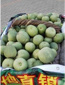 晋城市今日鲜瓜价格