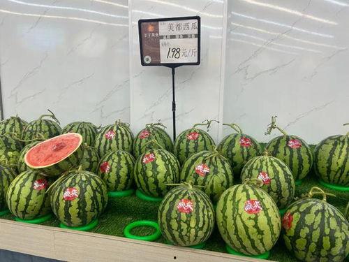 美都麒麟瓜今日价格,市场行情一览