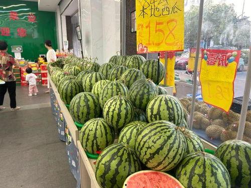 美都麒麟瓜今日价格,市场行情一览