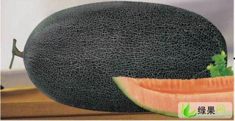 哈密瓜今日报价,新鲜上市，价格实惠，尽享夏日美味