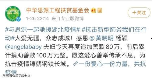 武汉疫情捐款的明星网红