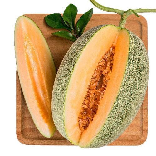 海南今天哈密瓜今日行情金凤瓜,海南哈密瓜金凤瓜今日行情解读