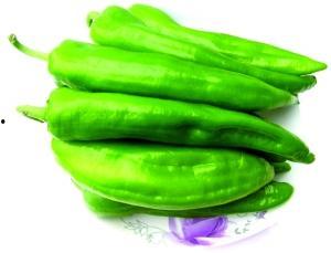 今日菜价角瓜,新鲜实惠，家常美味首选
