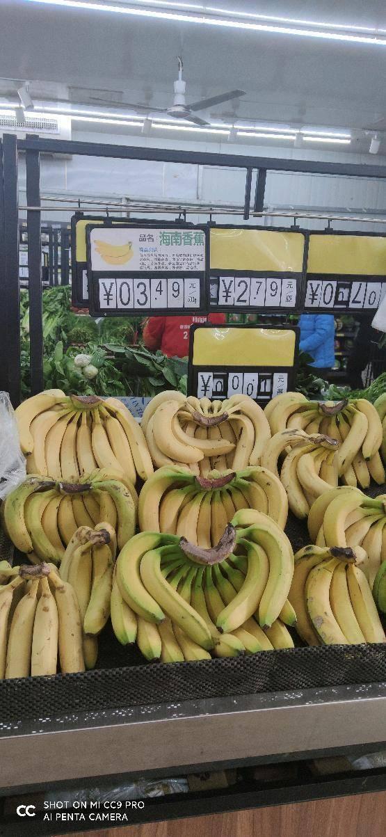 今日菜价角瓜,新鲜实惠，家常美味首选