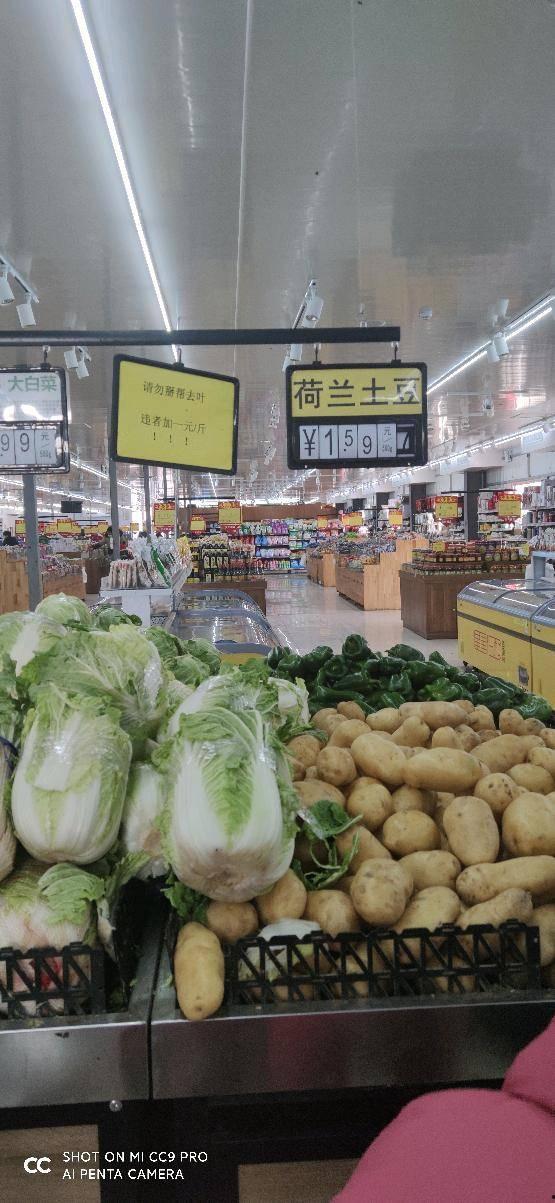 今日菜价角瓜,新鲜实惠，家常美味首选