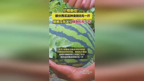 今日麒麟瓜批发价格,品质与价格的完美结合