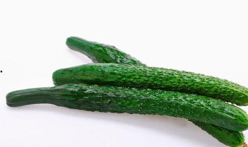 今日新鲜事赏黄瓜坐瓜灵,赏黄瓜新篇章