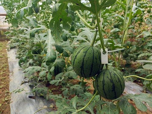 五一吃瓜在线今日吃瓜,今日热门事件大盘点