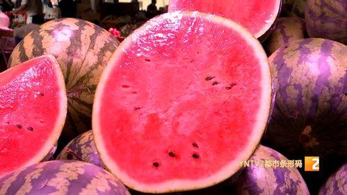 2024麒麟瓜今日价格,今日行情一览