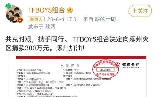 河北明星网红捐助事件始末,爱心传递与舆论风波的反思