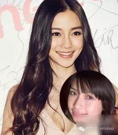 明星网红是什么意思,网络时代的璀璨星河