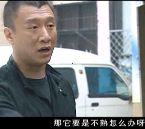 今日说法卖瓜老板,揭秘卖瓜老板的神奇营销术