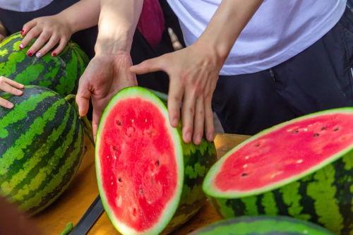 今日俄罗斯吃瓜视频最新,今日俄罗斯吃瓜视频背后的惊人真相