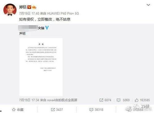 今日份的瓜,揭秘娱乐圈最新热点事件