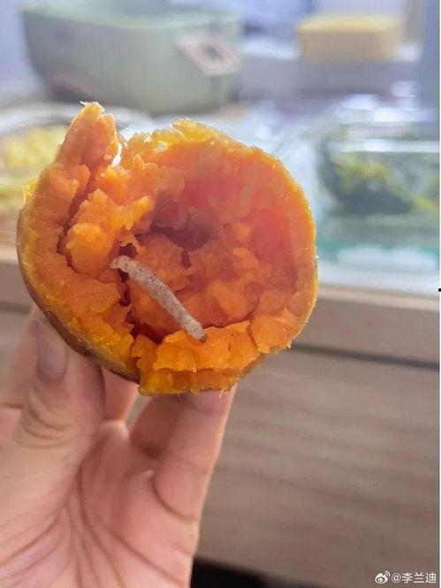 今日份的瓜,揭秘娱乐圈最新热点事件