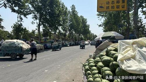 中牟小吊瓜今日价格,价格行情一览