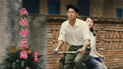 电视剧山楂树之恋,山楂树下的爱情传奇