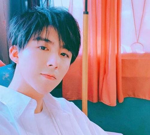 刘宇宁明星网红如愿,明星网红的璀璨人生之路