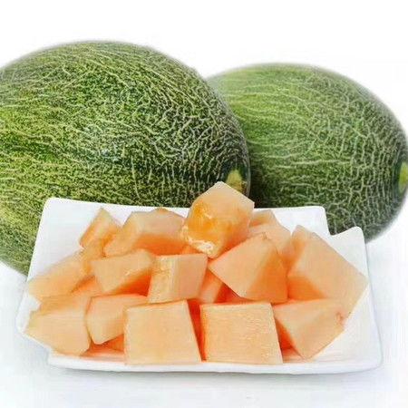 海南晓蜜哈密瓜今日价格,价格行情一览