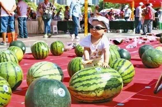 今日吃瓜大赛,瓜界风云再起，谁将笑傲江湖？