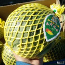 小凤瓜批发价今日价格,价格波动背后的市场动态”