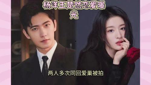 今日娱乐圈最大的瓜,某明星出轨实锤，引发全民热议