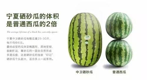 今日硒砂瓜最新消息,最新消息揭示甜蜜背后的科技力量